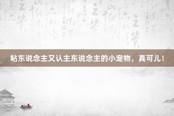 粘东说念主又认主东说念主的小宠物，真可儿！