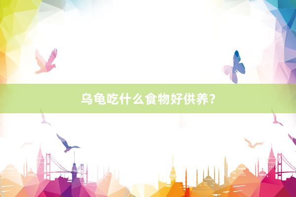 乌龟吃什么食物好供养?